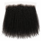 Afro Kinky 13x6 HD Lace Frontal