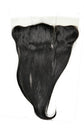 Straight 13x4 Transparent Lace Frontal